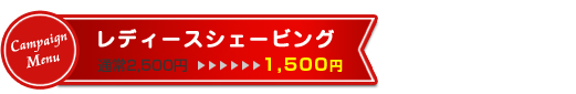 レディースシェービング